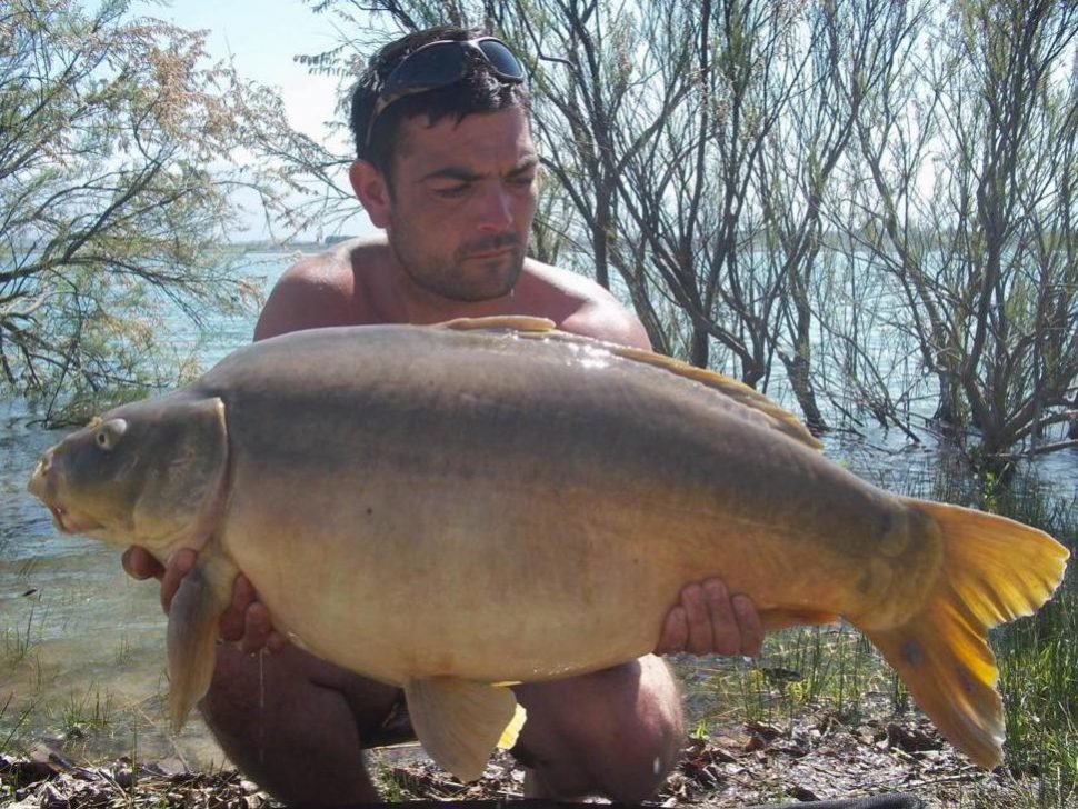 Carp Catch Shot