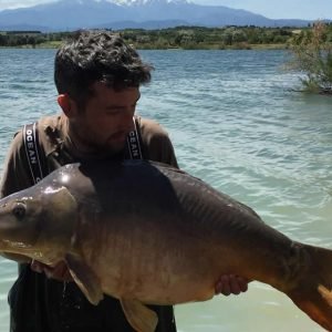Nice shot of man holding carp