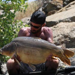 Nice shot of man holding carp