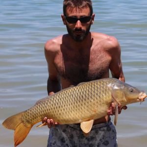 Nice shot of man holding carp