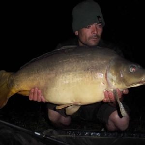 Lovely common carp catch shot