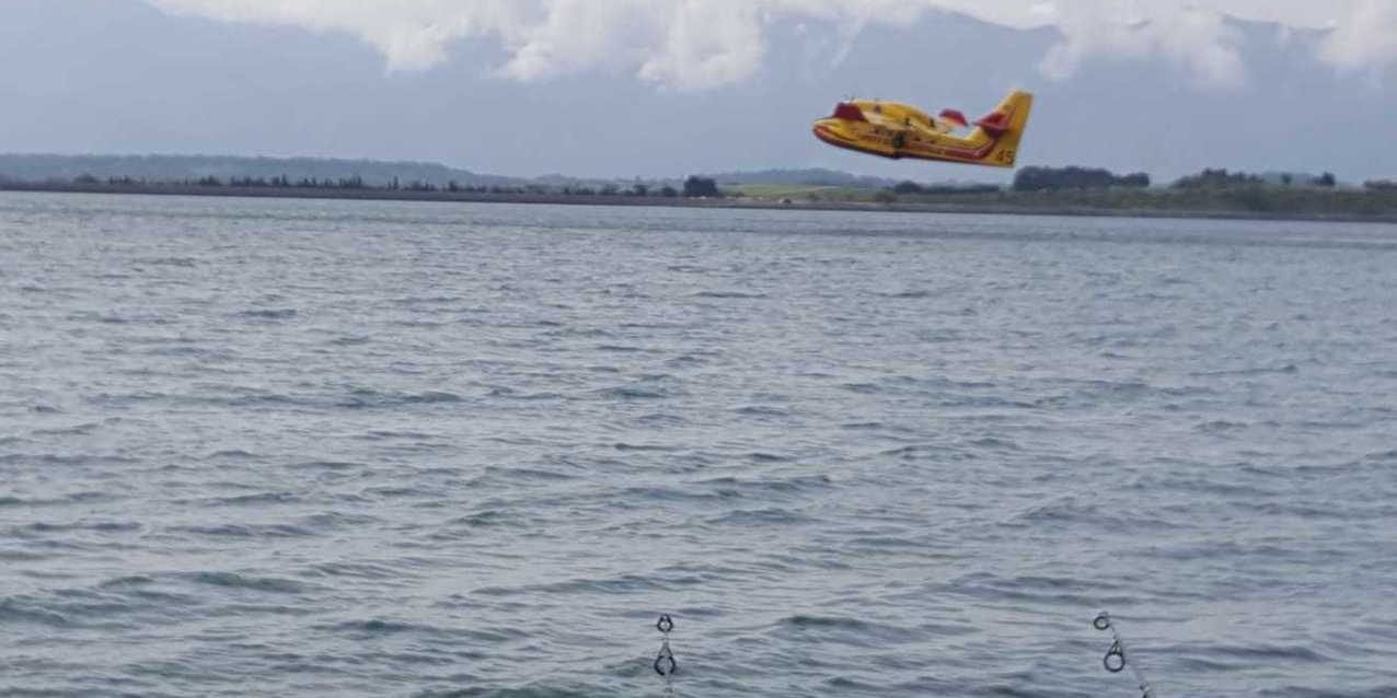 37-0-0-0-10000-10000-1276 Plan landing